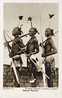 Spears Prints: Three Shilluk Warriors of the Upper Nile, Sudan, Africa
