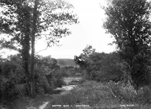 Shimna Glen, Newcastle