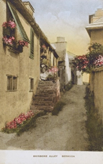 Alleyway Gallery: Shinbone Alley, St. Georges, Bermuda