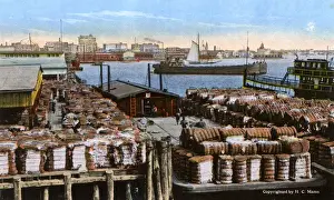Shipping cotton, Norfolk Harbour, Norfolk, Virginia, USA