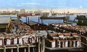 Images Dated 6th November 2018: Shipping cotton, Norfolk Harbour, Norfolk, Virginia, USA