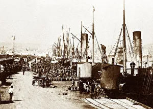 Helier Prints: Shipping potatoes from Jersey, early 1900s