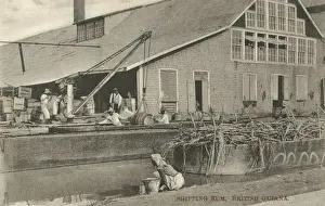 Crane Prints: Shipping Rum - British Guiana (Guyana)