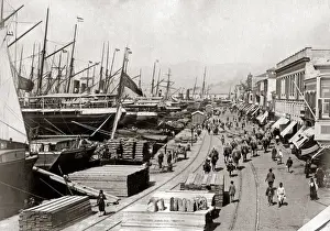 Wharves Prints: Shipping wharves, probably Port Said, Egypt, circa 1890