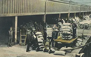 Exports Prints: Shipping wheat, San Francisco, California, USA