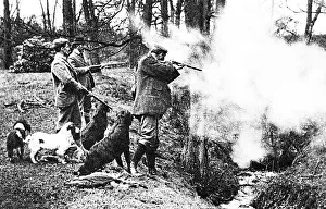 Shooting rabbits early 1900s