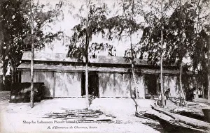 Mangrove Collection: Shop for Labourers - Picault Island, Aldabra Group