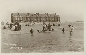 The Shore
