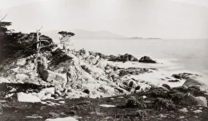 Shoreline near San Francisco, California, USA, c. 1890
