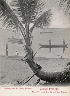 Palms Collection: Shores of Lake Caijo, French Congo