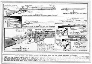 Rifles Collection: Short Rifle Diagram 1915