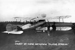 Streak Prints: Short Silver Streak