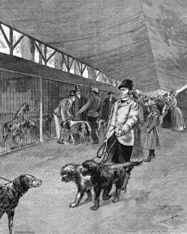 Cages Prints: Showdogs in France