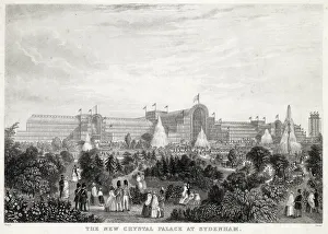 Images Dated 2021 May: 6 May 2021 Collection