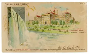 Describing Prints: Shredded Wheats Home
