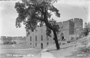 Pathways Prints: Shrewsbury Castle