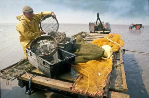 Cumbrian Gallery: Shrimp fisherman, Flookborough, Morecambe Bay - 3