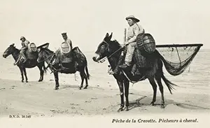 Oil Skins Prints: Shrimp Fishermen on mules - France
