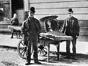 Shrimp Prints: Shrimp seller
