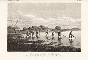 Edited Prints: Shrimpers fishing for shrimps with nets at low tide