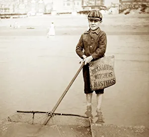Shrimping in Hastings, Victorian period