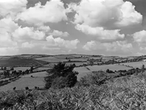 Elbow Prints: Shropshire Countryside
