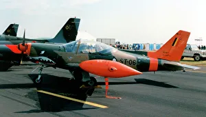 260mb Prints: SIAI-Marchetti SF. 260MB ST-06