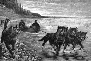 Siberian postman, boat hauled by dogs