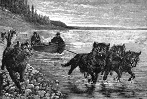 Husky Prints: Siberian postman, boat hauled by dogs