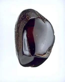 Sicilian amber