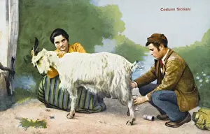 Sicilian Prints: Sicilian Locals milking a goat