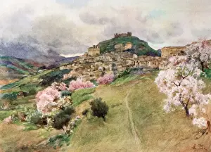 Sicily / Girgenti 1911