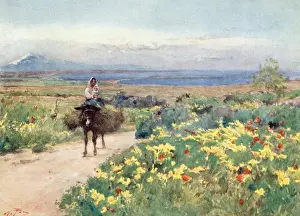 Sicily / Scenery 1911