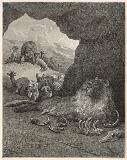 Knowing Collection: The Sick Lion & the Fox
