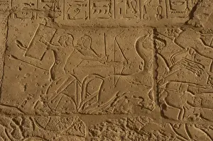 Chariot Prints: The Siege of Dapur (1269 B. C. ). A syrian charioteer is prote