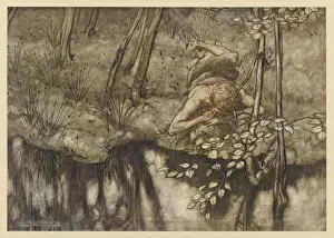 Siegfried Prints: Siegfried Sees Himself