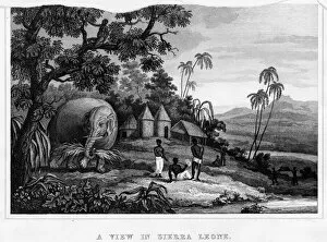 1800 Collection: Sierra Leone General