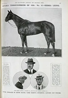 Racehorse Prints: Sierra Leone, the Racehorse