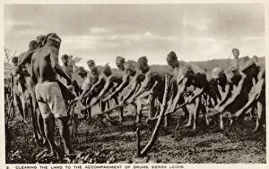 Drumming Collection: Sierra Leone, West Africa - Villagers preparing arable land