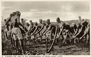 Accompanied Prints: Sierra Leone, West Africa - Villagers preparing arable land