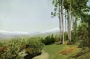 Sierra Madre / California