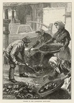 Sifting Dust, Paddington