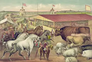 Proportions Prints: Sights at the fair ground