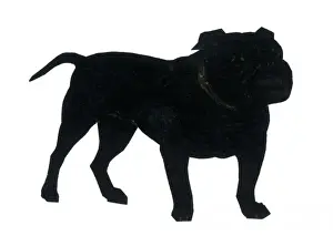 Silhouette of a British bulldog