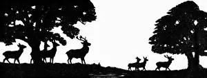 Silhouette design for The Orbit magazine