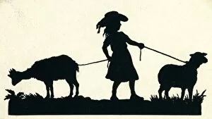 Images Dated 23rd February 2012: Silhouette of a girl with a sheep and a goat