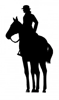 Images Dated 24th February 2012: Silhouette of horse and rider