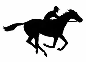 Images Dated 23rd February 2012: Silhouette of jockey and racehorse
