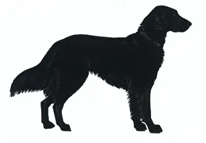 Retriever Prints: Silhouette of a labrador retriever