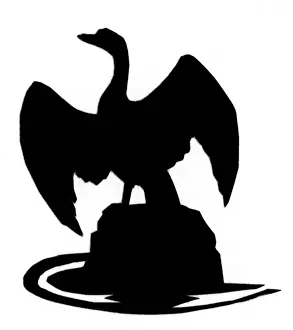 Flapping Prints: Silhouette of a large bird on a rock